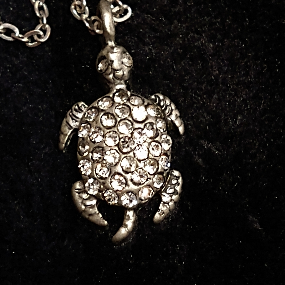 Vintage Turtle Necklace
